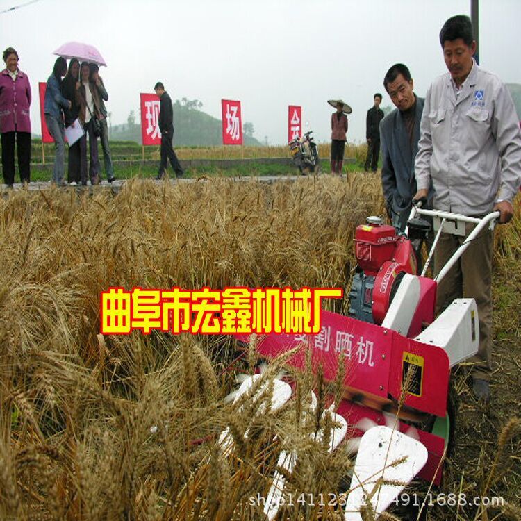 QQ图片20150708102849