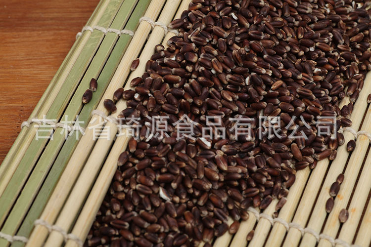 Roasted Black Wheat Low Temperature Baked Whole Grain for Fresh Soy Milk and Congee specifications