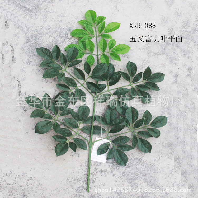 XRS-088五叉富贵叶95叶平面