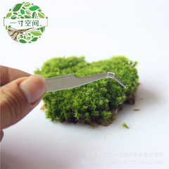 苔蘚微景觀植物 微景觀生態瓶 多肉專用工具不鏽鋼彎頭鑷子批發