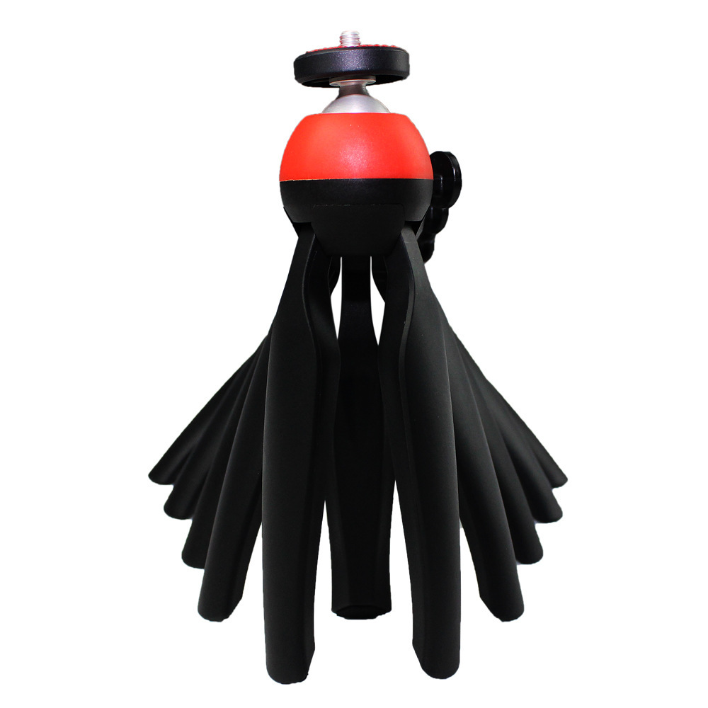 2503395816_2108336670