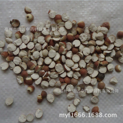 Wholesale Supply Optional Da Zhaoshi gorgon fruit