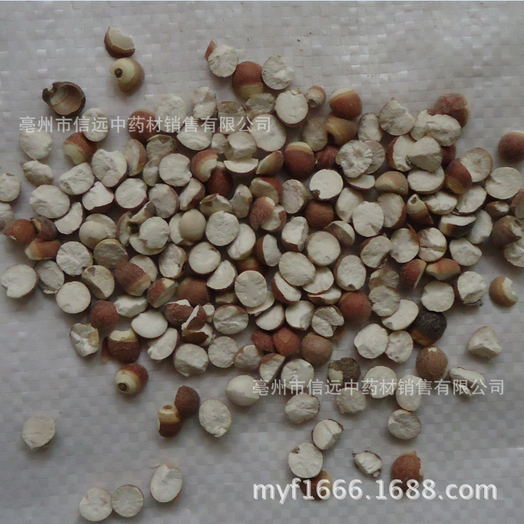 Wholesale Supply Optional Da Zhaoshi gorgon fruit