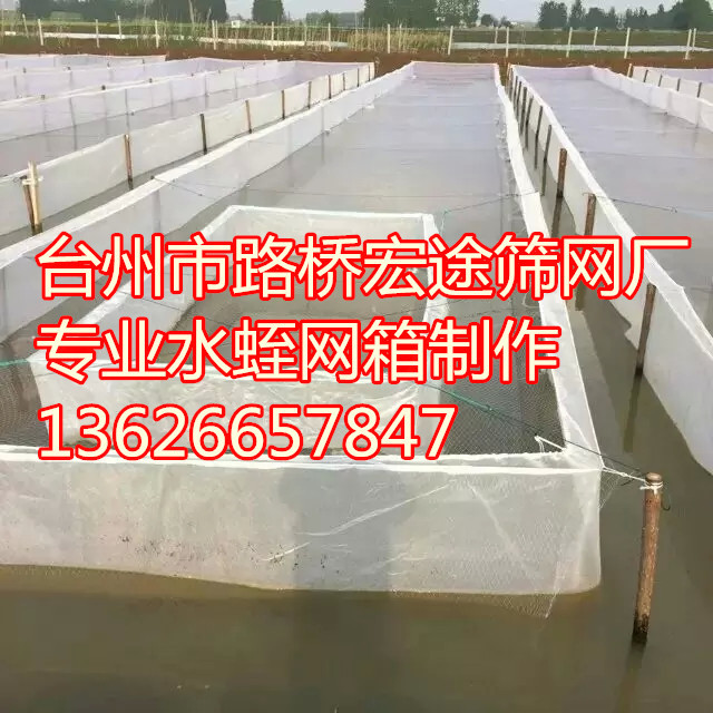 水蛭網箱