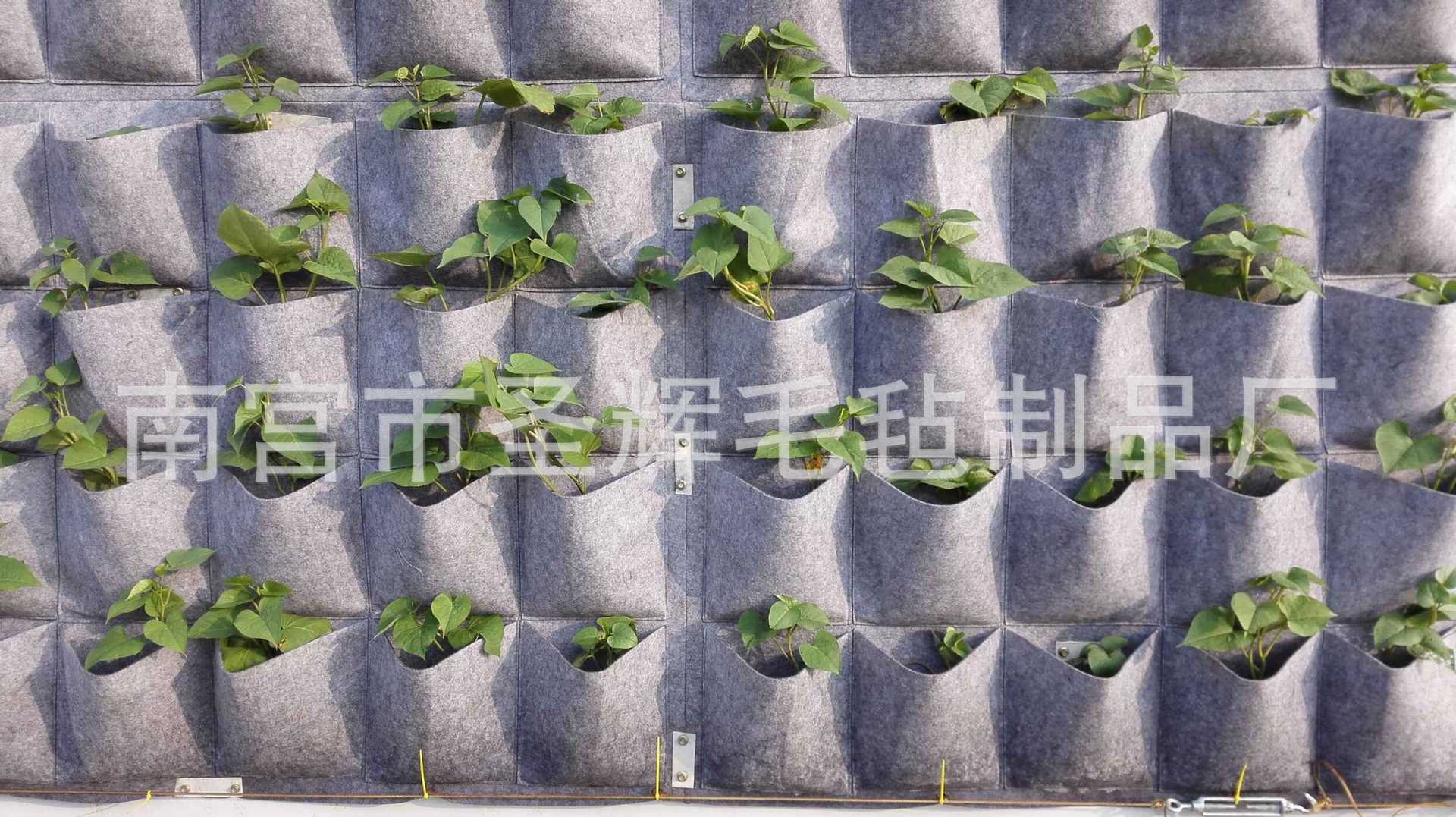 立体壁挂种植袋 垂直绿化室内外植物袋 立体墙毛毡种植袋 美植袋