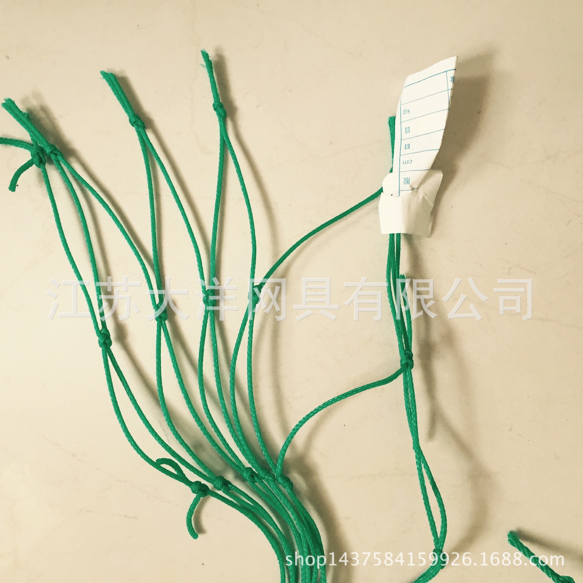 聚乙烯编织网 渔网 农业用网 厂家生产 大洋网具