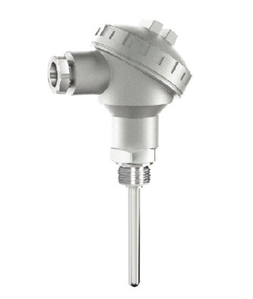 NS-T53 Armored temperature sensor