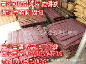 �V�|�߃r����Ƥ�~ 2024��Ƥ�~���Ճr������ Ƥ�~�K�����S�~�t�~�K