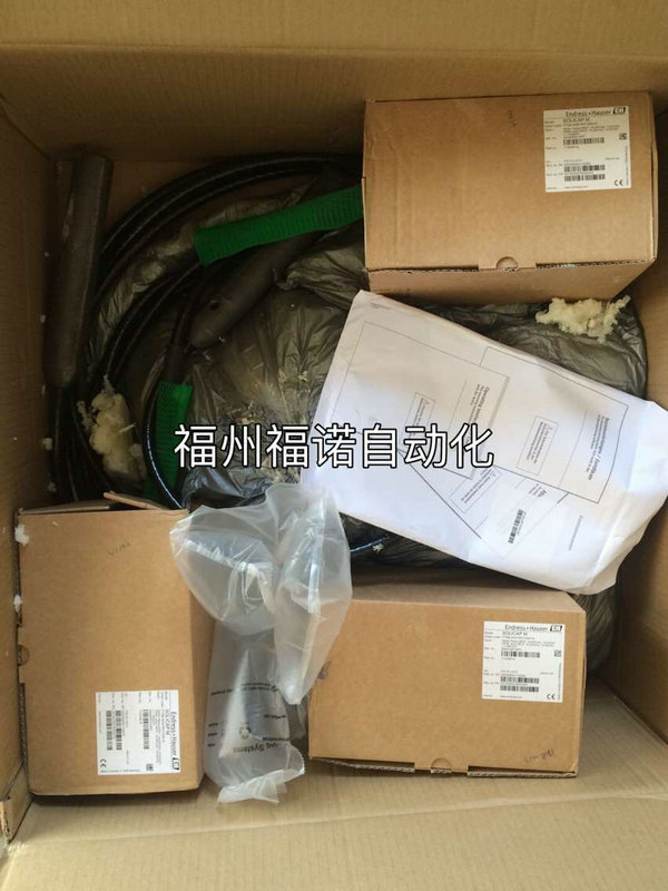 E+H电容式物位计FTI55/56 AAC1RV143A1A L