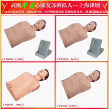 供应 电脑半身心肺复苏模拟人CPR230 急救心肺复苏模拟人