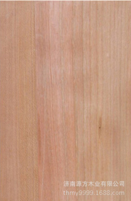 西南桦直紋木皮實木木皮國産家具材料