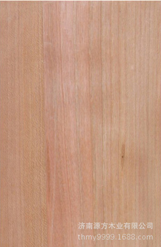 西南桦直紋木皮實木木皮國産家具材料