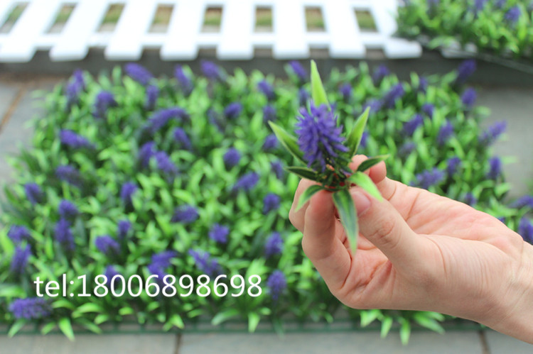 IMG_4887_副本_副本_副本