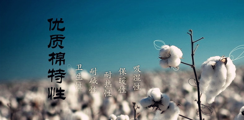 2030970016_1552738395