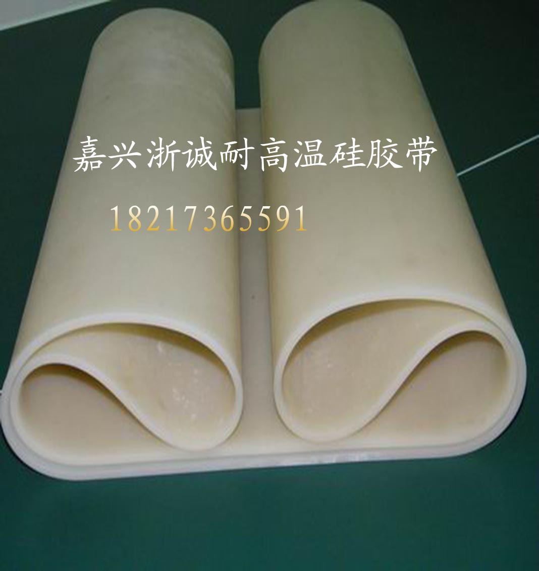 嘉兴浙诚厂家直销硅胶输送带 耐高温硅胶输送皮带 只袋子就硅胶带