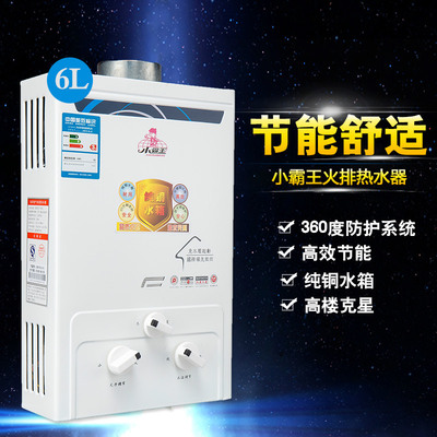 批發 小霸王燃氣熱水器 煤氣液化氣6升L家用低水壓煙道立式