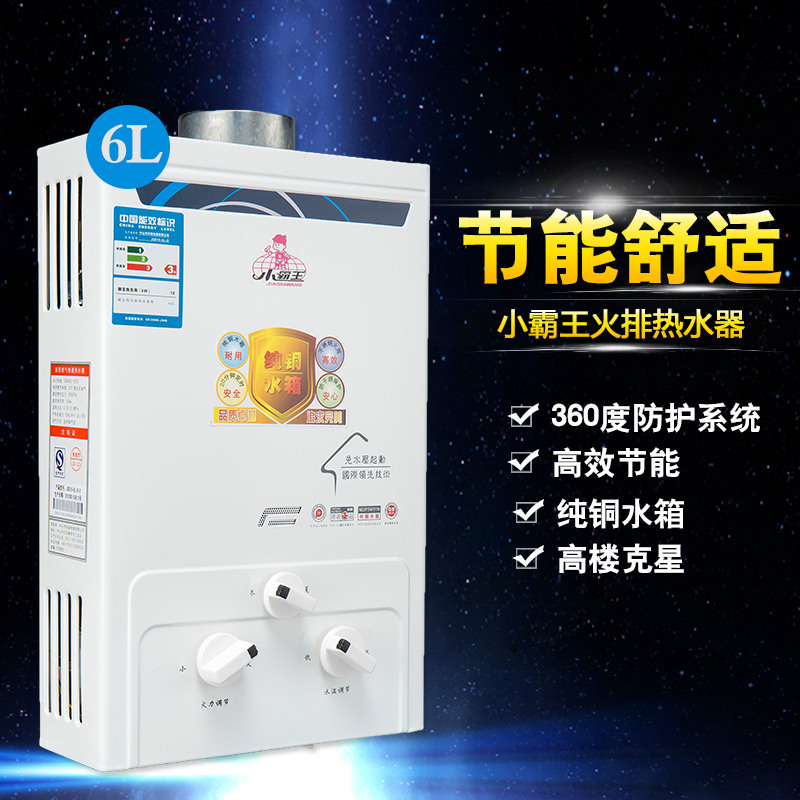 批發 小霸王燃氣熱水器 煤氣液化氣6升L家用低水壓煙道立式