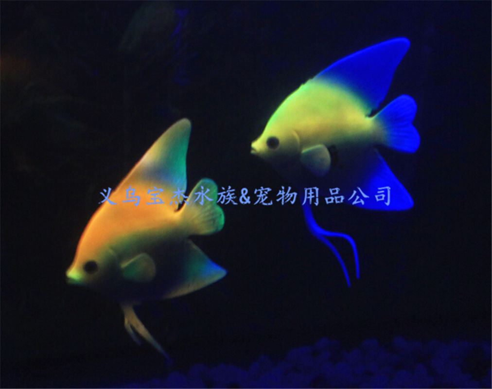 仿真狮子鱼 逼真狮子鱼水族装饰 高质量多色狮子鱼鱼缸装饰品详情45