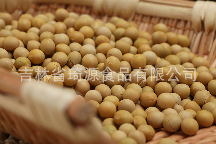 Roasted Soybeans Northeast China Specialty Ready to Eat Soybean Snack Bulk Wholesale quality and texture