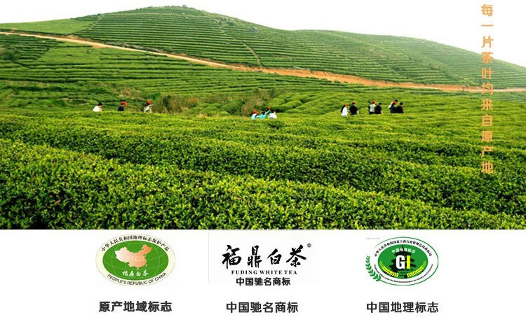 TB2.VqrbXXXXXcYXXXXXXXXXXXX-22