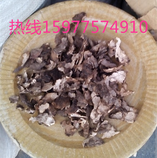 ��������Ƥ ���Ƥ