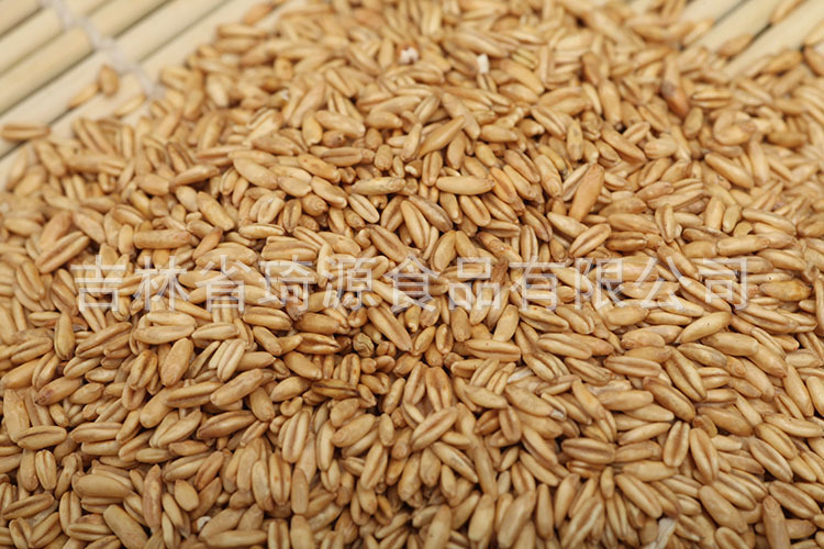 Low Temperature Baked Rolled Oats Bulk Whole Grain Oatmeal for Porridge and Baking quality and texture