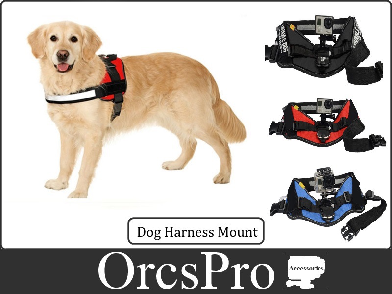 dog mount banner