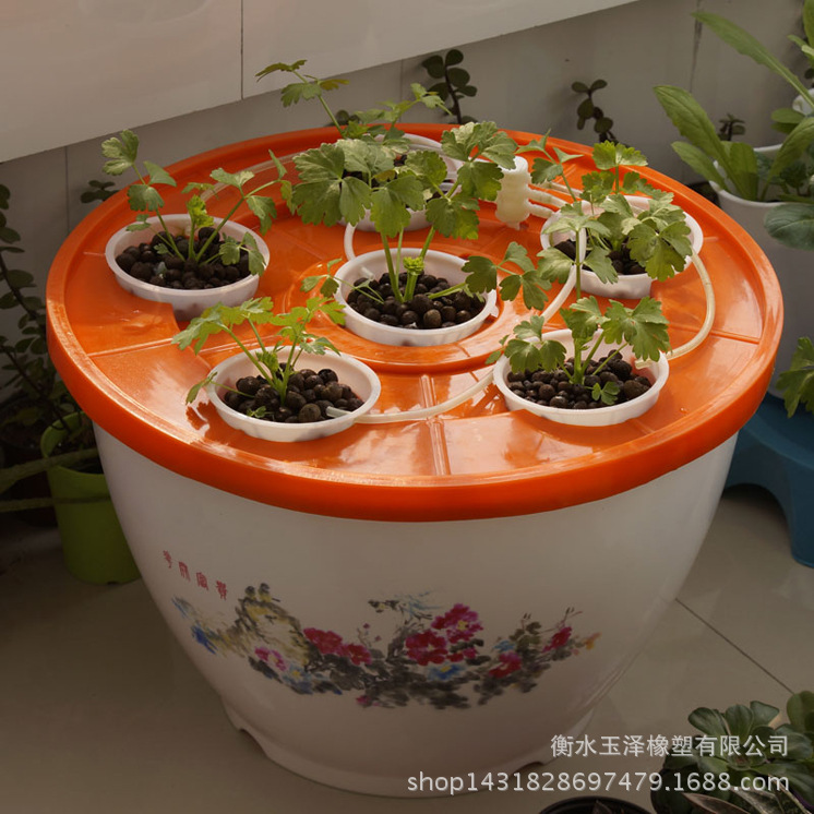 TB2jOA2bFXXXXcrXXXXXXXXXXXX-30