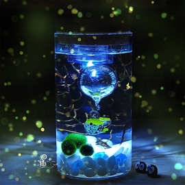 批发带灯直筒玻璃花瓶 圆柱软木塞微景观带灯生态瓶 海藻球生态瓶