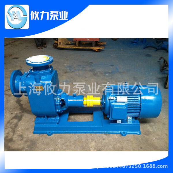 65ZW20-30卧式自吸排污泵 ZW型自吸泵 自吸污水泵 全自动电泵