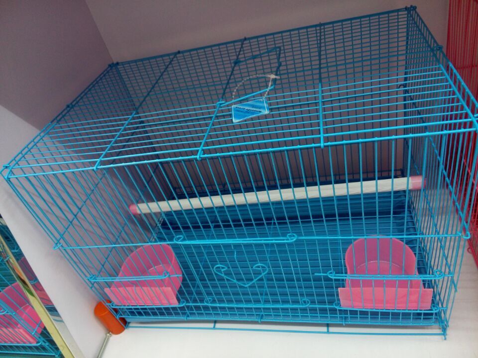 QQ图片20150428092620