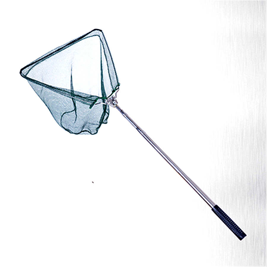 QQ图片20150731084559_副本