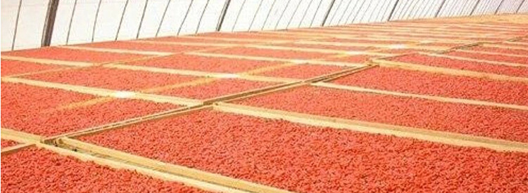 QQ截图20150108101955