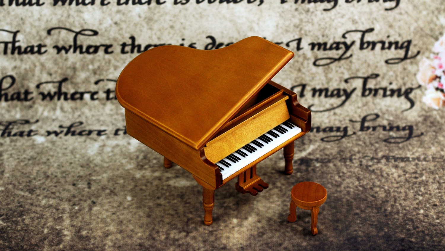 DSC_0501_副本_副本_副本