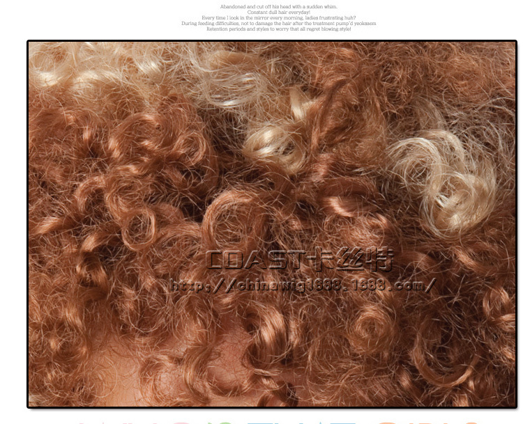 Perruque Les cheveux longs - Ref 2610483 Image 10