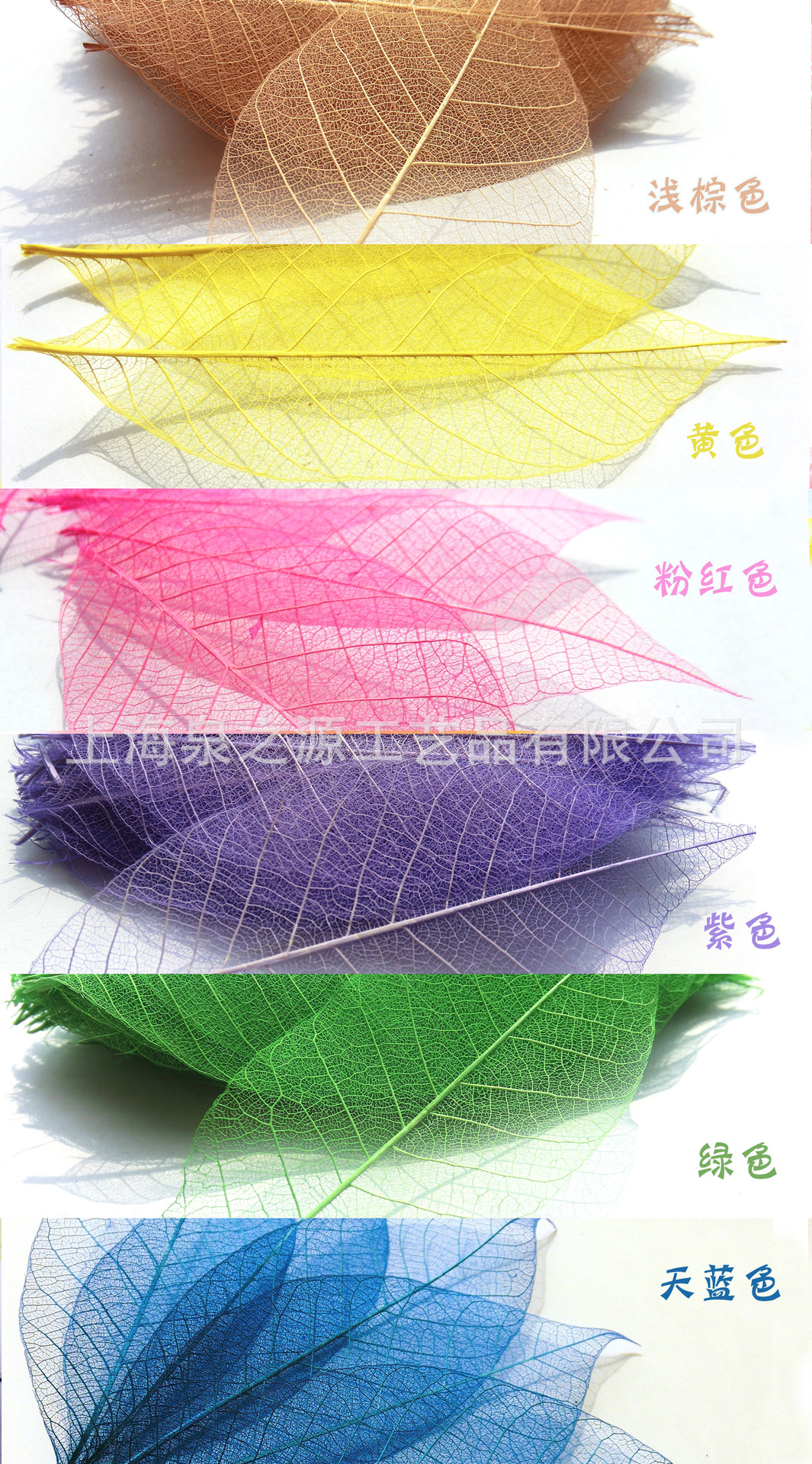 YM009-橡胶叶脉 彩色
