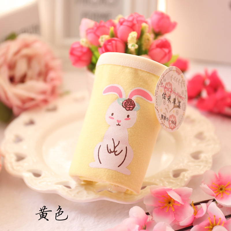 Slip jeune A019 en coton - Ref 647876 Image 25