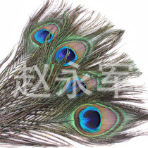 T14V9JXpJcXXXXXXXX_!!0-item_pi