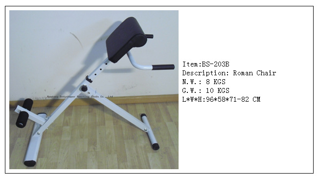 BS- 203B