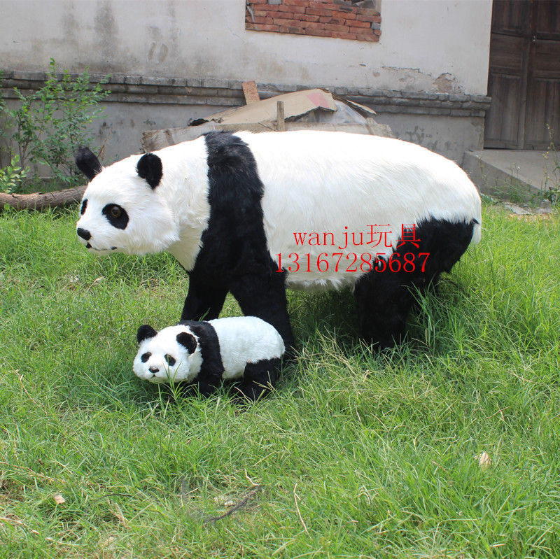 simulation Giant panda 11 Photograph prop Promotion square activity source material teaching teaching material specimen Cats