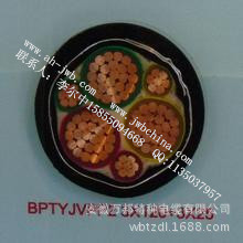 变频电缆BPYJVP