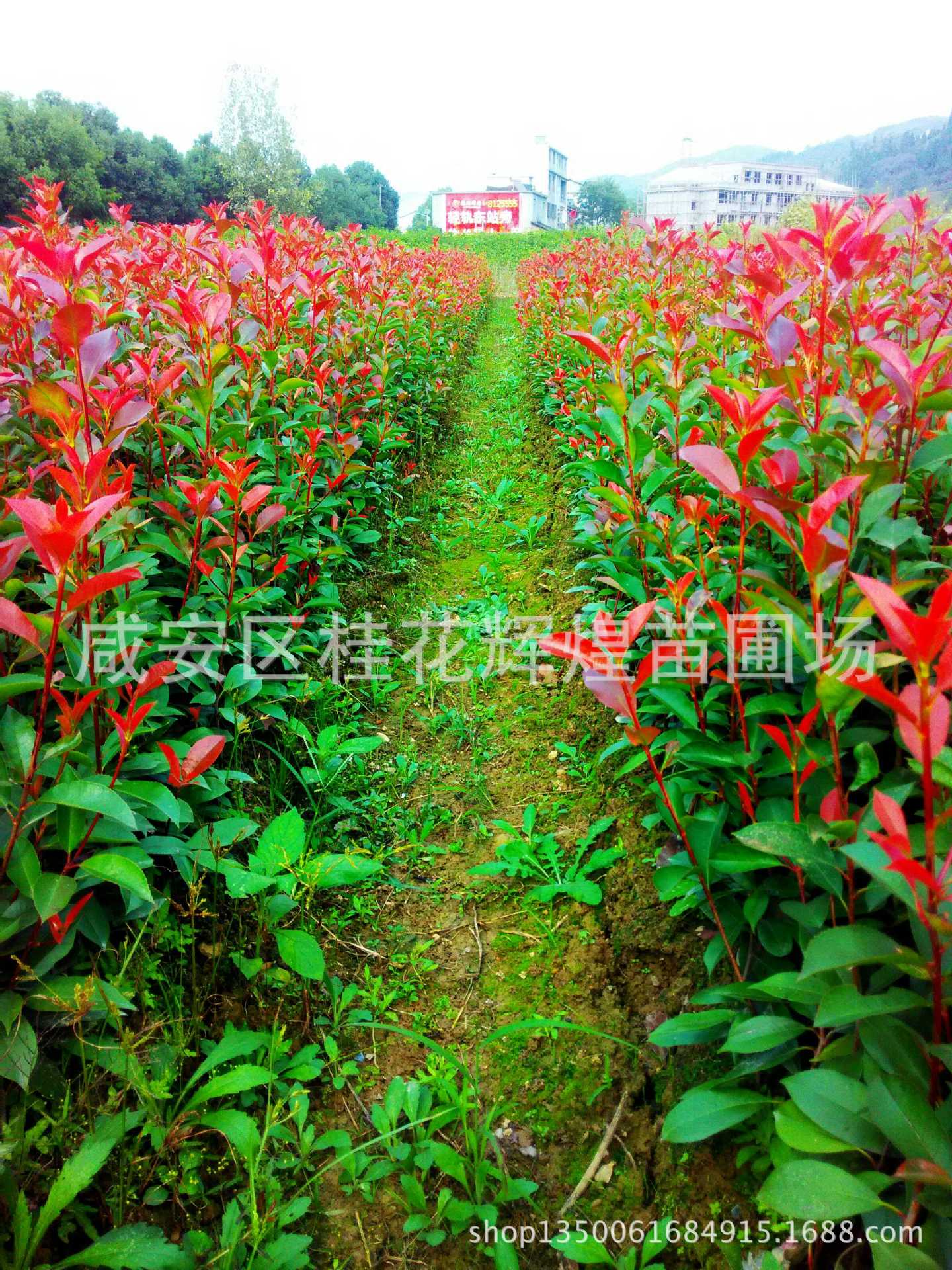 IMG_20151009_151514_HDR