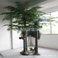 仿真椰子叶椰子树热带植物树果大树大型仿真绿植室内外工程博物馆