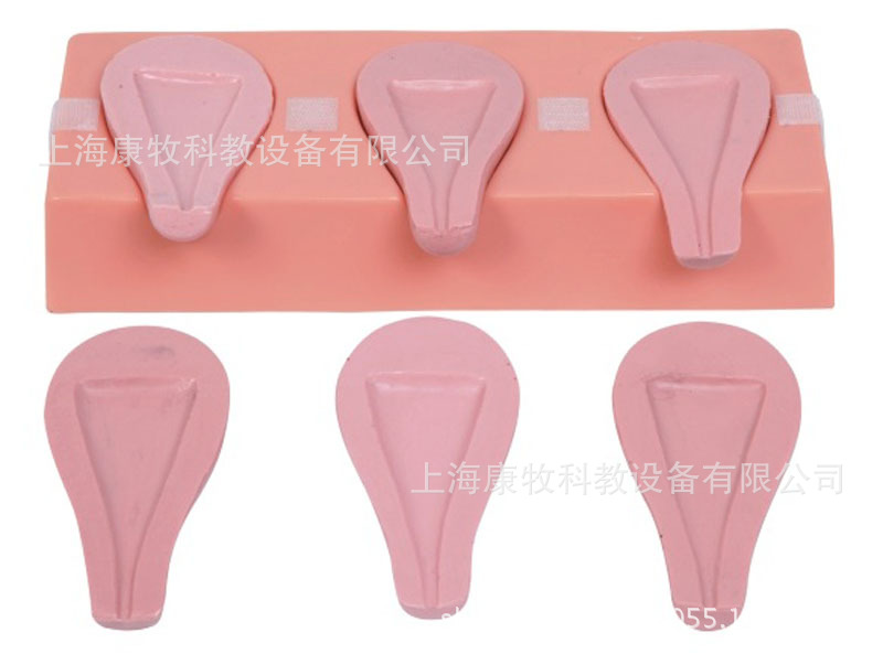 高级人工流产模拟子宫