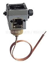 FEMA EX-TAM490 防爆恒温器