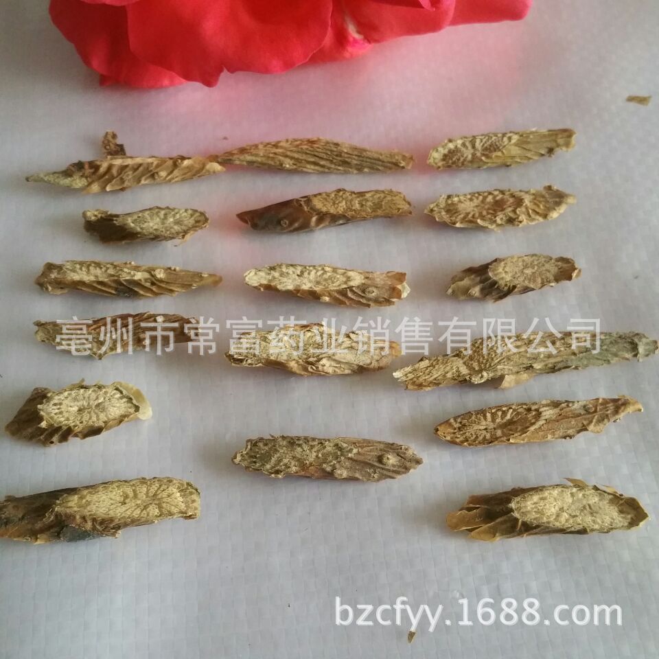 Kuan Jin Teng Dried Herb 500g Tinospora sinensis Stem for Traditional Decoctions and Herbal Teas key features