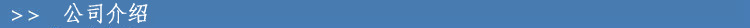 公司介绍