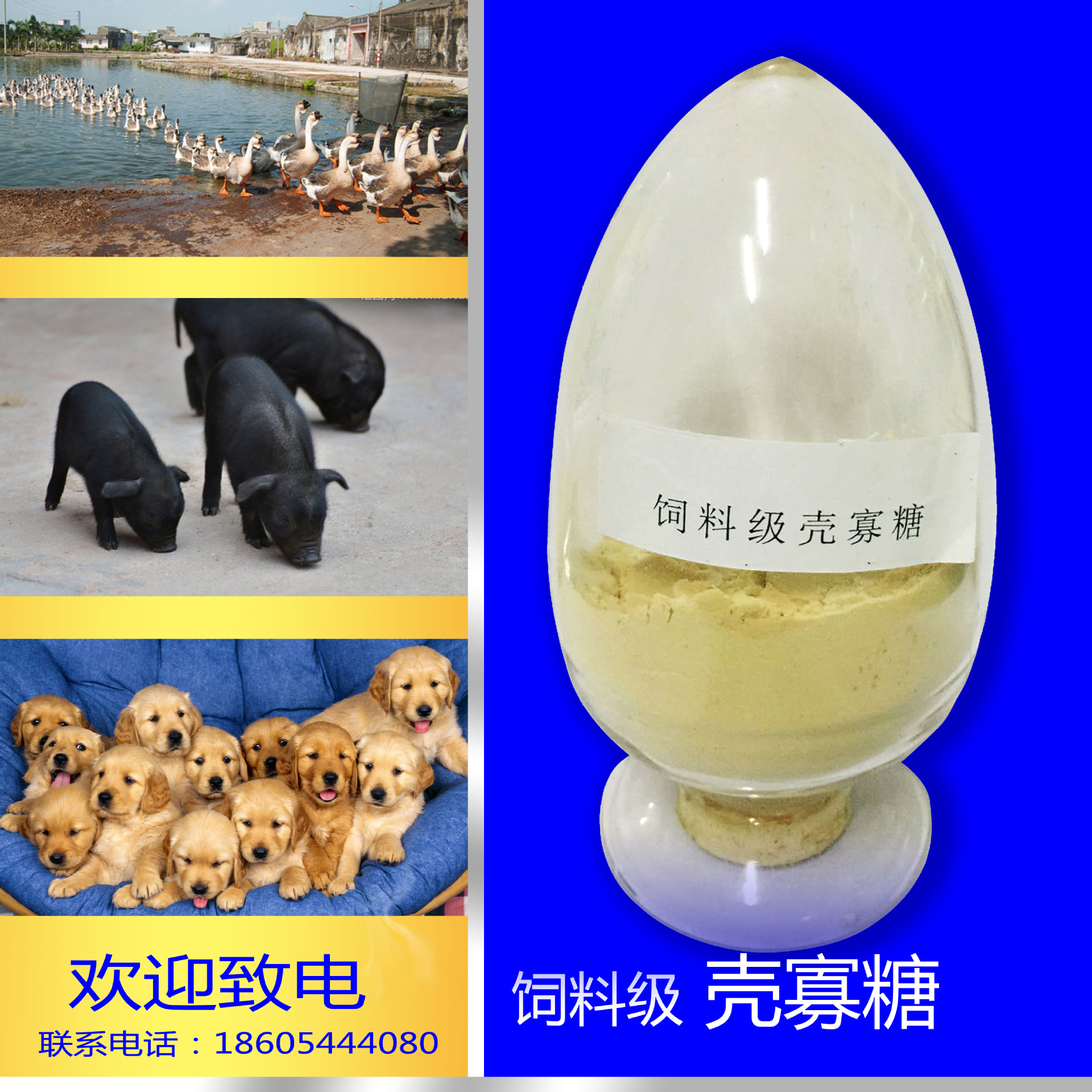 弘海厂家直销壳寡糖（超过99%水溶）