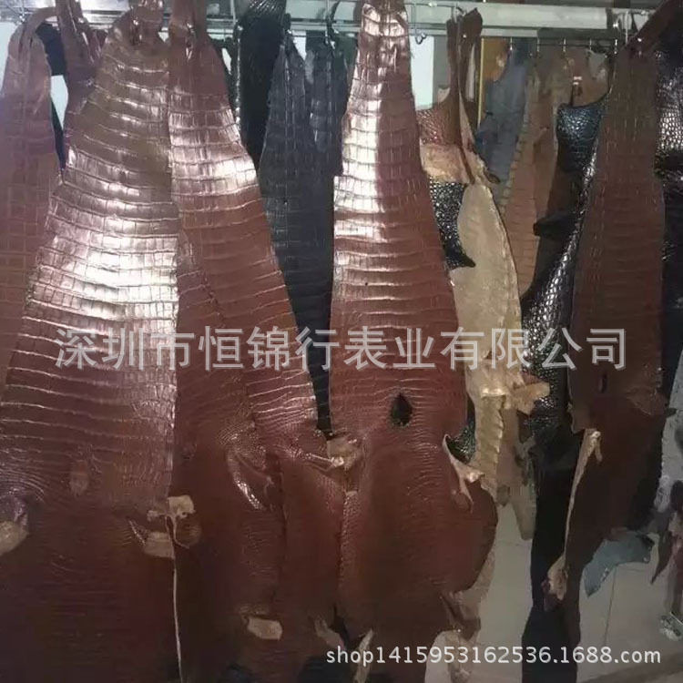 鱷魚皮3