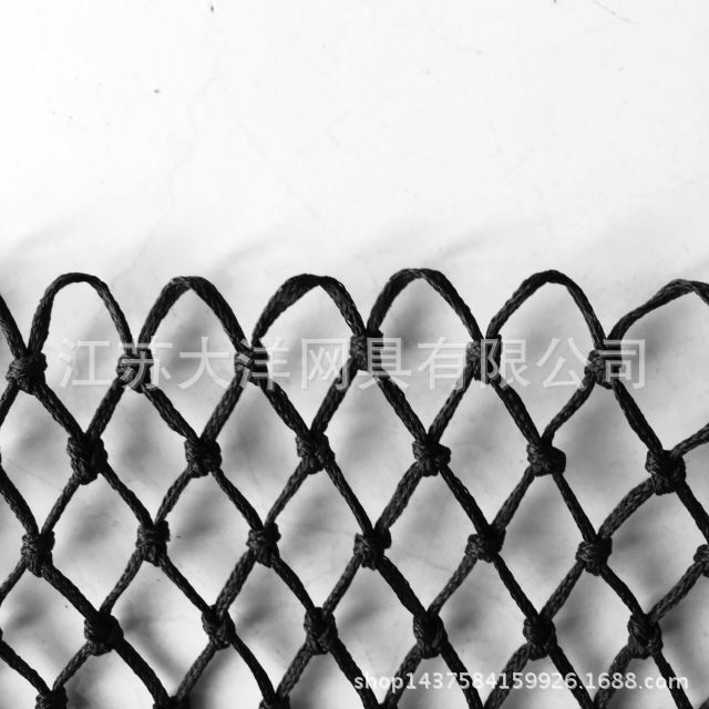 聚乙烯有结编织网 聚乙烯aw渔网 农业用网 厂家生产 大洋网具